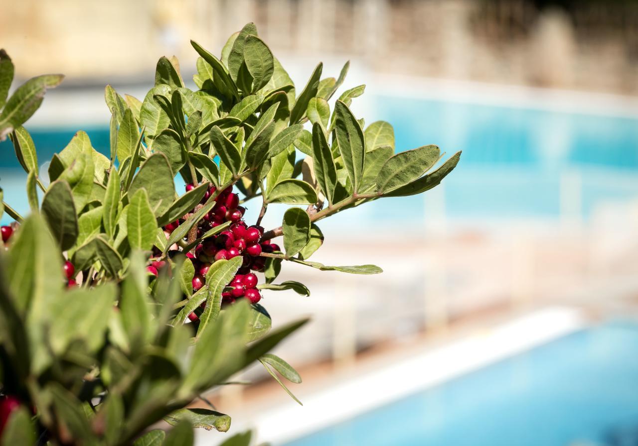 Residenza Capriccioli Aparthotel ปอร์โตแชร์โว ภายนอก รูปภาพ